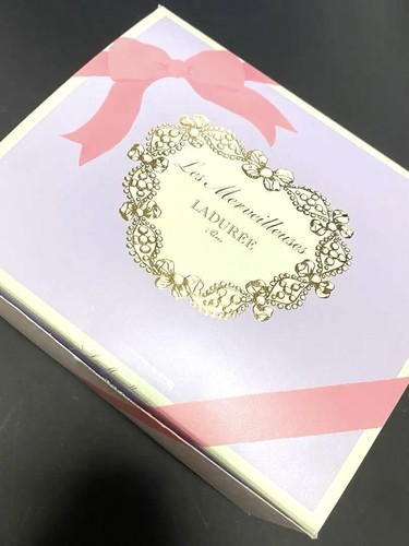 Ladurée Powder Cheek Set Cheek Brush Pot Rose 02 Pink Japan Brand new unused - Picture 5 of 12