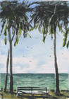 Watercolour painting by N.M.Campbell. Palm tree seaside print