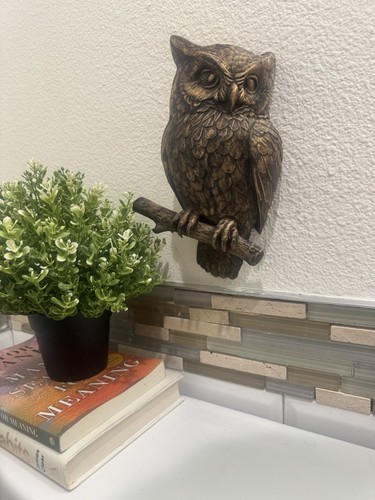 Hand Painted Owl Wall Sculpture Bird on Beanch Rustic Wildlife Wall Home Decor - Picture 2 of 6