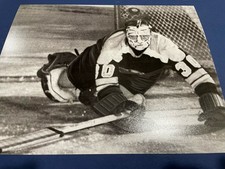 Boston BRUINS Gerry CHEEVERS 30 COOL Dive SAVE Custom LAB 8X10 HOFer NEW L K