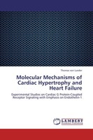 Molecular Mechanisms Of Cardiac Hypertrophy And Heart Failure Thomas Von Lueder