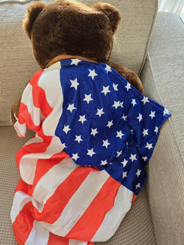 Trumpy Bear 22” Donald Trump President America Stuffed Plush NWT ORIGINAL - Picture 2 of 6