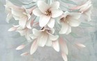 Bild 5 von 5