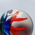 Bild 12 von 24