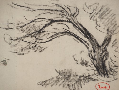 Maximilien LUCE : Arbre en lisière de forêt, Dessin original signé - Picture 3 of 6