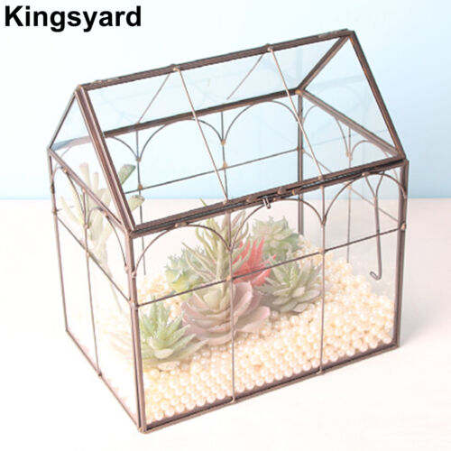 Kingsyard Plant Terrarium Indoor House Terrarium Kit Terrarium Jar Planter w/Lid - Picture 3 of 3