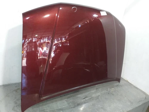 F5100EB3MA Capo para NISSAN PATHFINDER (R51) 2.5 dCi XE 2007 8700968 - Imagen 1 de 10