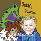 Seth's' Journey by Barbara Jean Cline (Paperback, 2012)