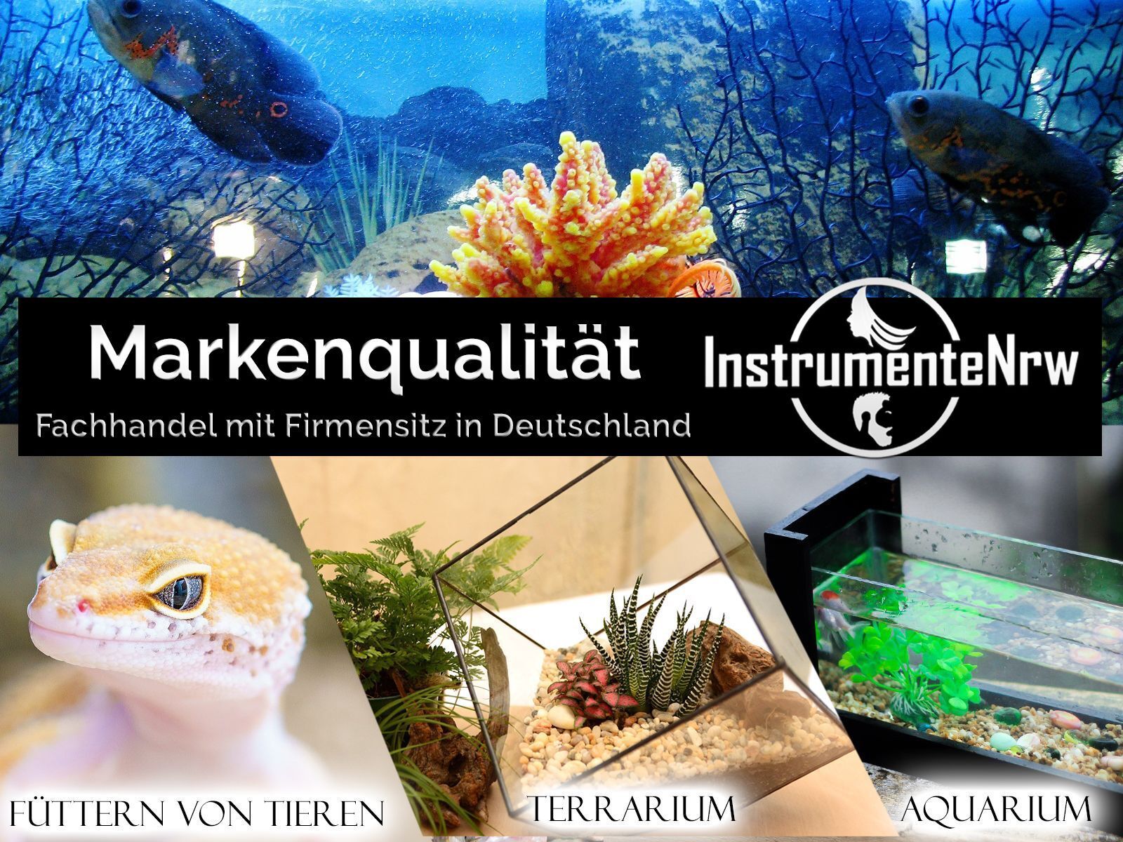 Bild 7 von 10