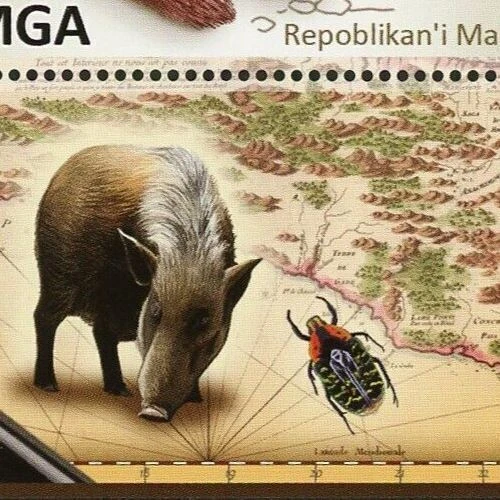 Salanoia Durrelli Stamp Fauna Wild Animal Souvenir Sheet Mint NH - Image 4 of 4