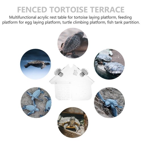 économies Terrasse Des Tortues Plateforme Daquarium Accessoires Dhabitat