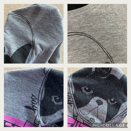 Vans Juniors M Dog Say Cheese Camera Front Graphic T-Shirt Tee Short Sleeve AU - Picture 8 of 10
