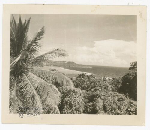 Vintage Post 2. Weltkrieg 1945 Fotografie Guam Panorama ländliche Ansicht Menge 2 scharfes Foto - Bild 2 von 3