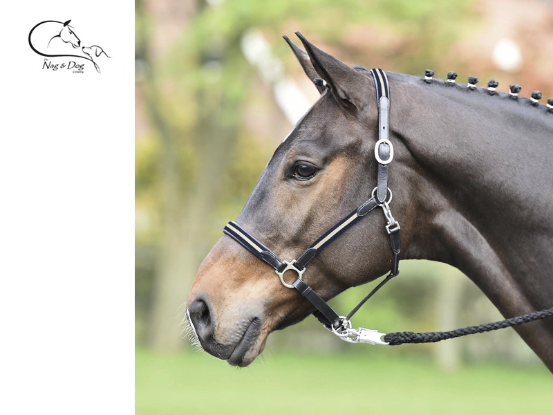 Busse imbottita in pelle Coloreee WEB dettagli REG Nero Havana Ponygranturcocomplete Busse imbottita in pelle Coloreee WEB dettagli REG Nero Havana Ponygranturcocomplete