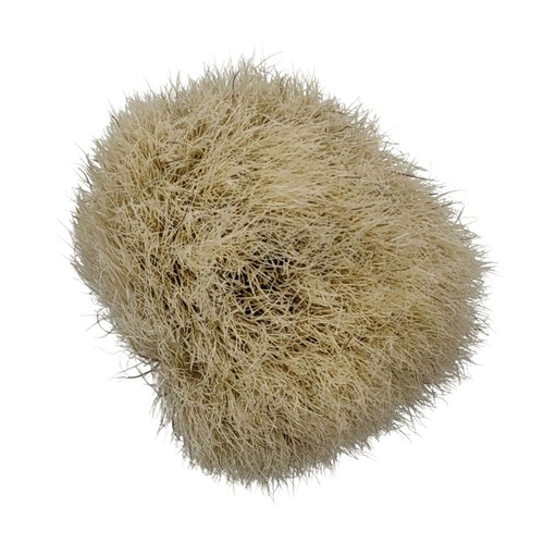 American Style shaving Brush, 18mm - by Vielong (Used) - Picture 2 of 3