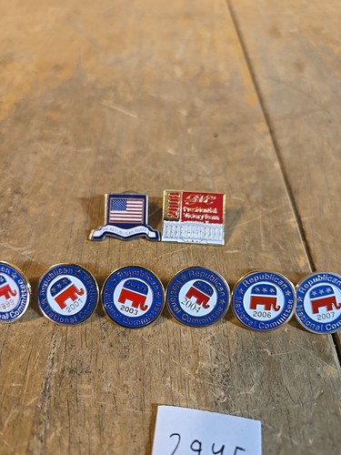 9 Republikanisches Nationalkomitee, Republikanische Partei und Victory Team Pins - Bild 3 von 10