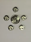Pure Silver .999 Fine Buffalo Herd  1/4 oz big buffalo 5 little ones 1 gram each