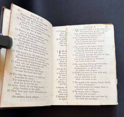 Antikes 1880 Buch PSALMEN DAVIDS IN METER gedruckt in Glasgow, von WM. Collins - Bild 5 von 9