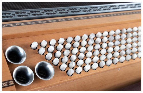 Class Alpen Sound Pro 96 fisarmonica basso con registro Musette in legno di ontano - Foto 6 di 9