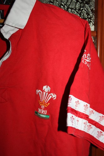 Camiseta deportiva vintage Cotton Traders Gales Rugby Union 1995 Copa Mundial - XL - Imagen 3 de 5