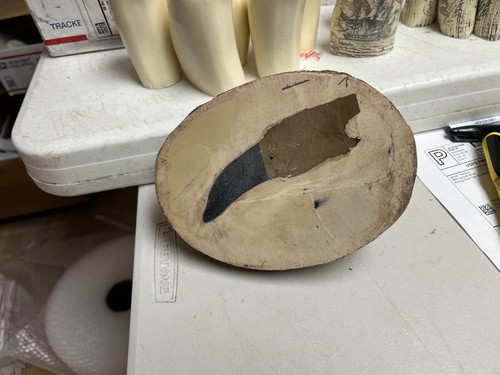 T-REX TOTENKOPF TISCHPLATTE Jurassic Park TOLLES GESCHENK FARBEN KÖNNEN VARIIEREN, PLUS KOSTENLOSE ZÄHNE - Bild 5 von 5