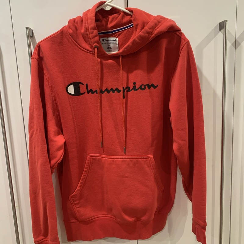 Champion Men's Authentic Athletic wear Hoodie - Small