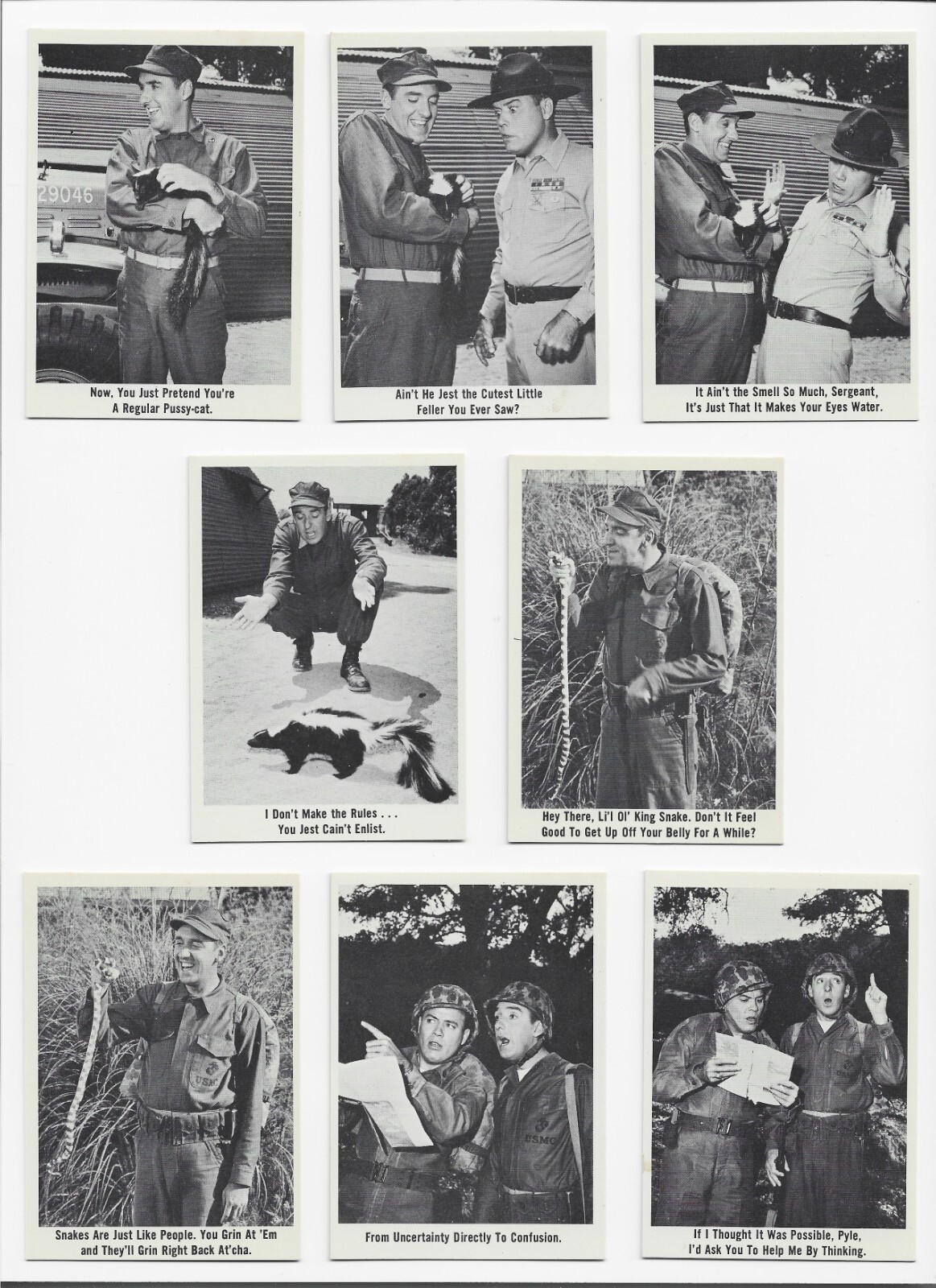 Picture 11 of 16