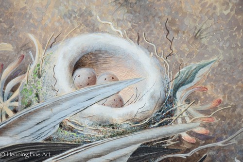 Feines antikes englisches Gemälde von Vögeln, Nest mit Eiern und Flora, super Detail! - Bild 6 von 9