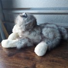 Bild 3 von 9