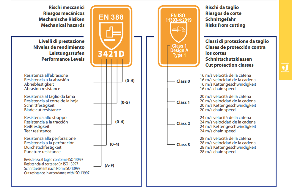 Imagen 5 de 7