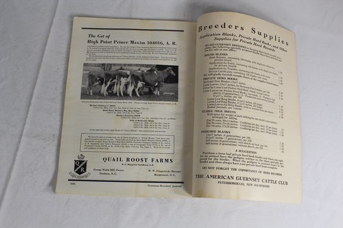 Guernsey Breeders Journal December 15, 1935 Cow Calf Bull Farms Cattle Dairy Ads - Bild 14 von 17