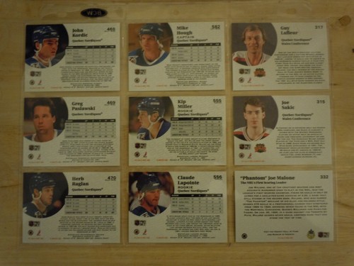 QUEBEC NORDIQUES ~ 1991-92 Pro Set TEAM SET ~ 27 Cards ~ SAKIC SUNDIN NOLAN - Picture 10 of 10