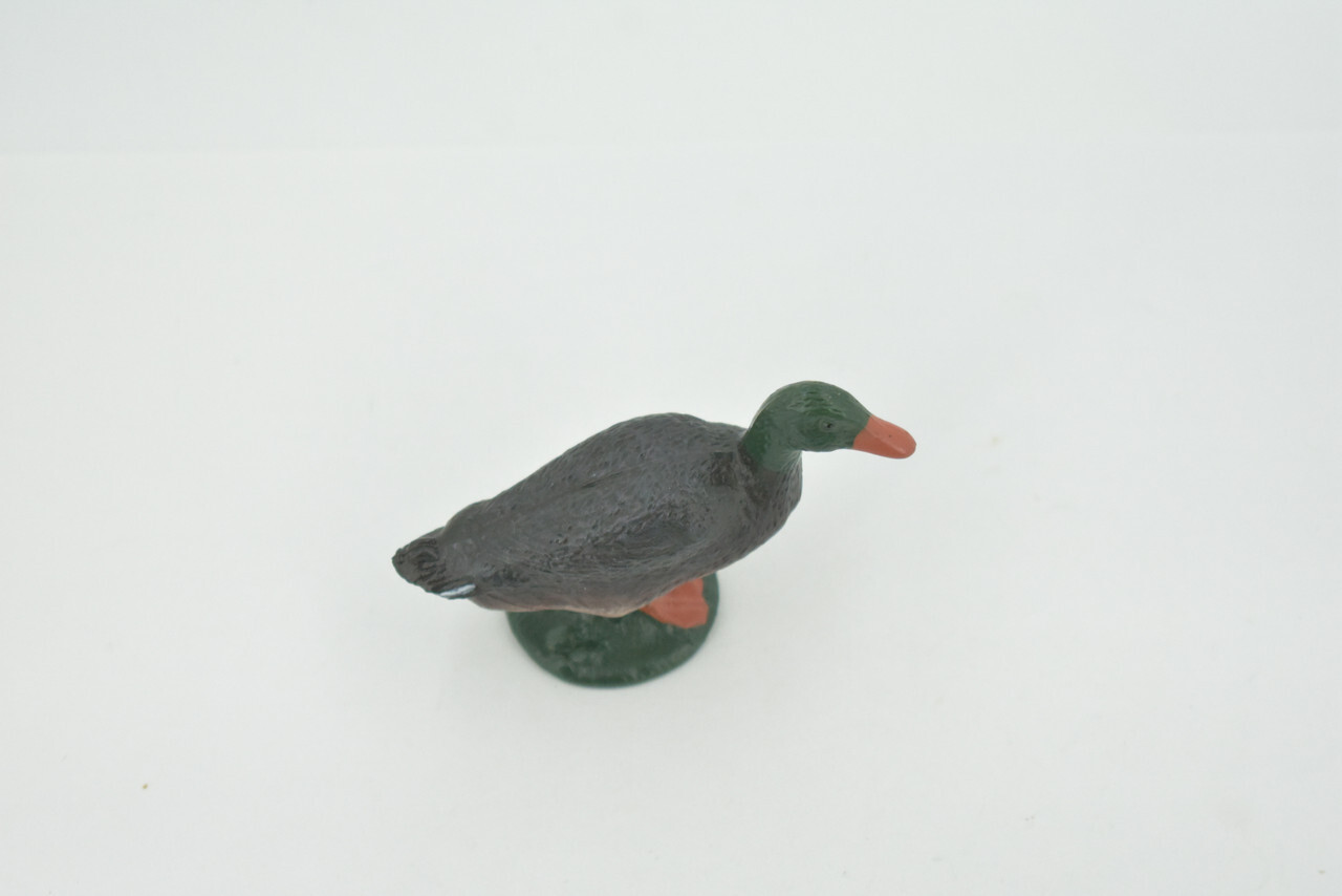 Picture 4 of 8