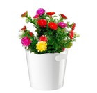 Bild 4 von 9
