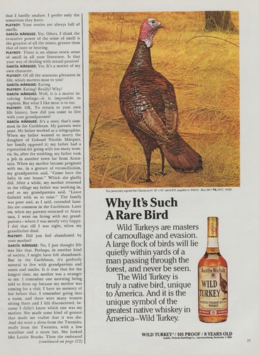 1981 Wild Turkey Bourbon Whiskey - "Why It's Such A Rare Bird" - Print Ad Photo - Picture 2 of 2