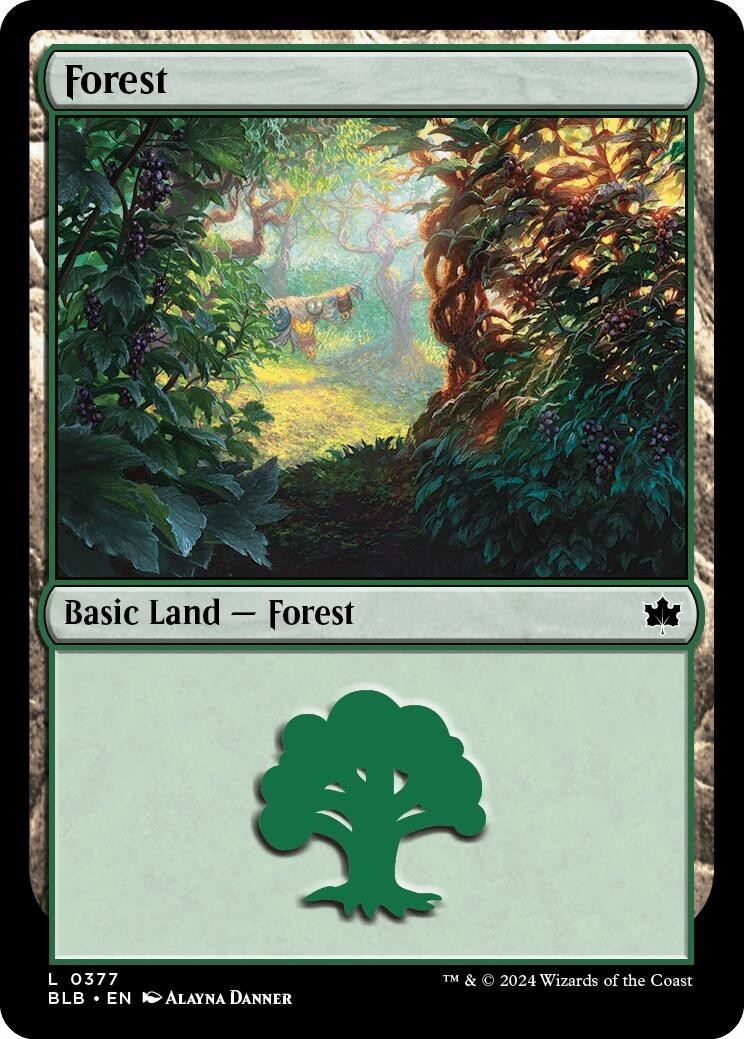 MTG BLB L Forest (0377) #377 NM PLAYSET 4x