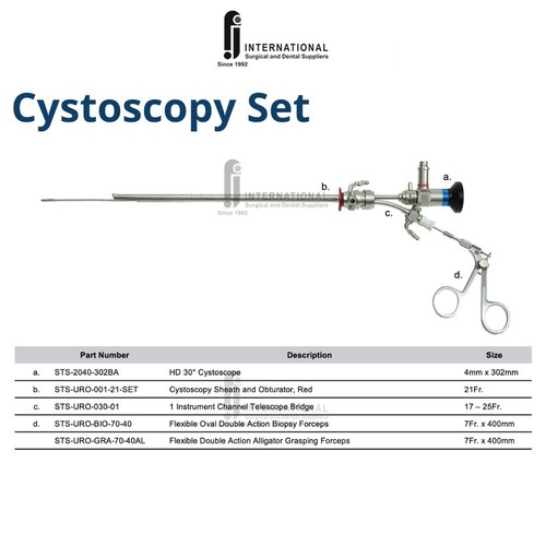 High Quality Cystoscopy Set with 30 Degree Optic and Flexible Forcep STORZ (Comp - Picture 2 of 5
