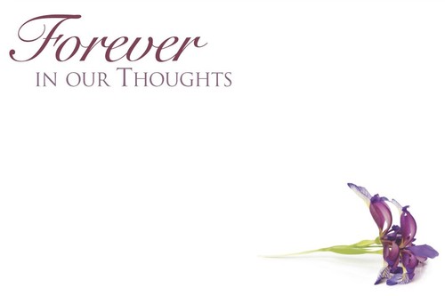 ShredAstic® FOREVER IN OUR THOUGHTS small FUNERAL Florist Message Cards 6x9cm - Picture 10 of 15