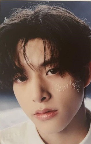 ENHYPEN 結 -YOU- "STANDARD,A,B,SOLO ver." "STORE POB" OFFICIAL PHOTO CARD CD - Picture 83 of 173