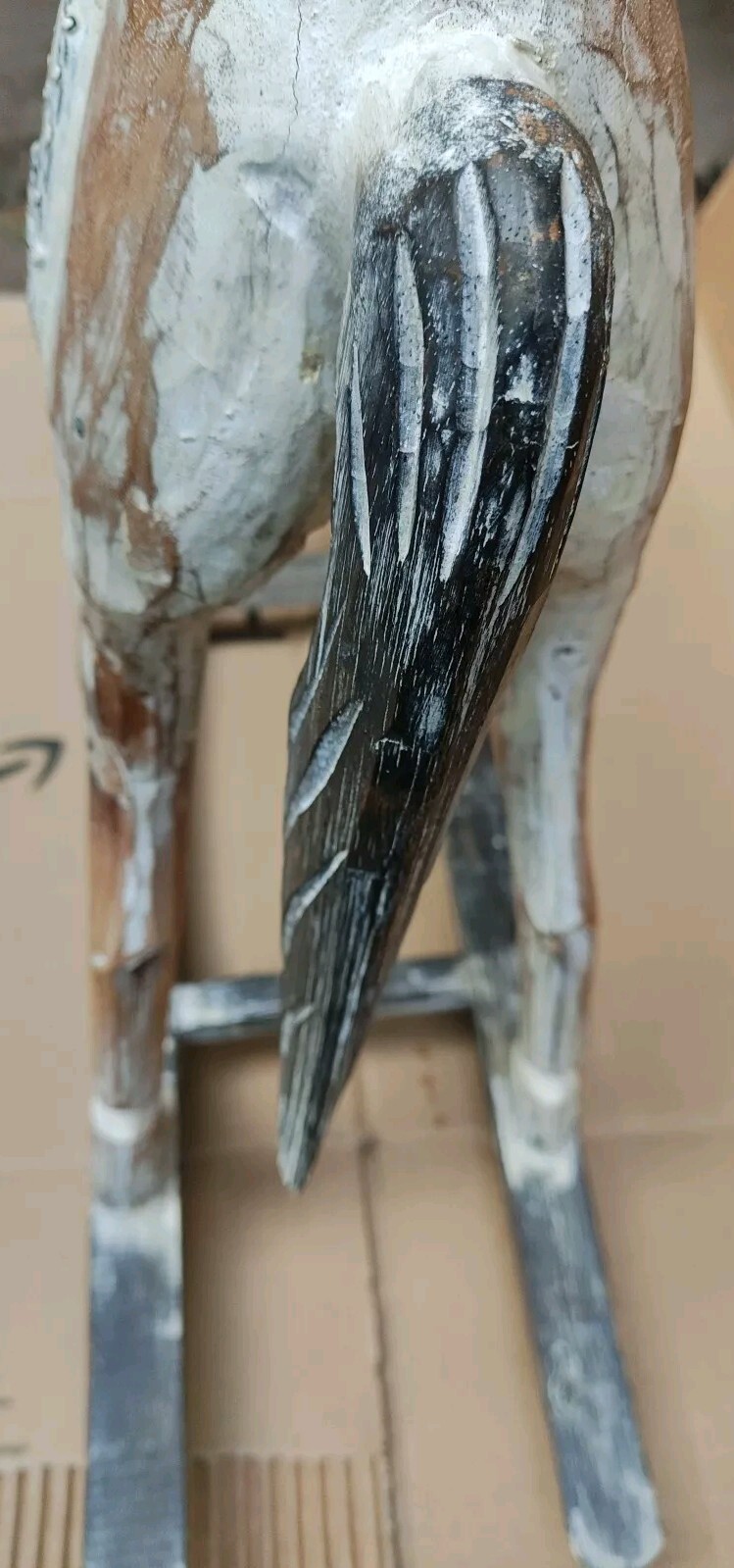Foto 6 di 23