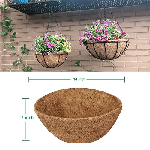 HALEDAZE 2 Pack 14 Inch Round Coco Liners for Hanging Basket, Coconut 14 inch - Picture 3 of 8