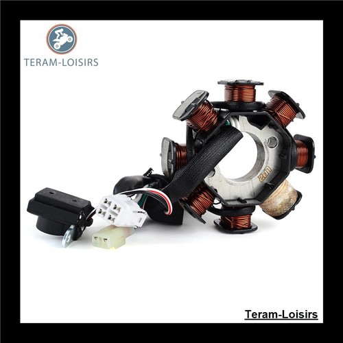 Stator Allumage pour Yamaha YFM 90 R RAPTOR de 2009 2010 2011 2012 2013 - Photo 5/8