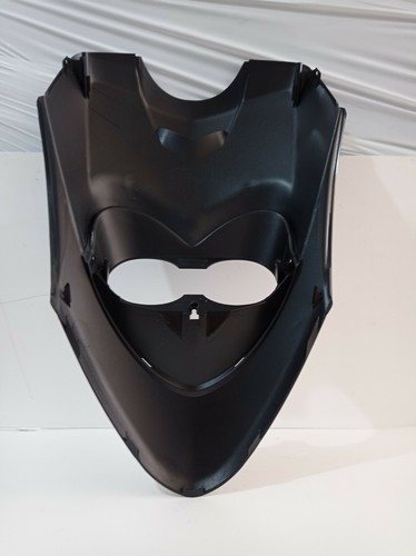 Frontschild Booster Ng schwarz lackiert 5fx -1511-00 - Bild 4 von 5