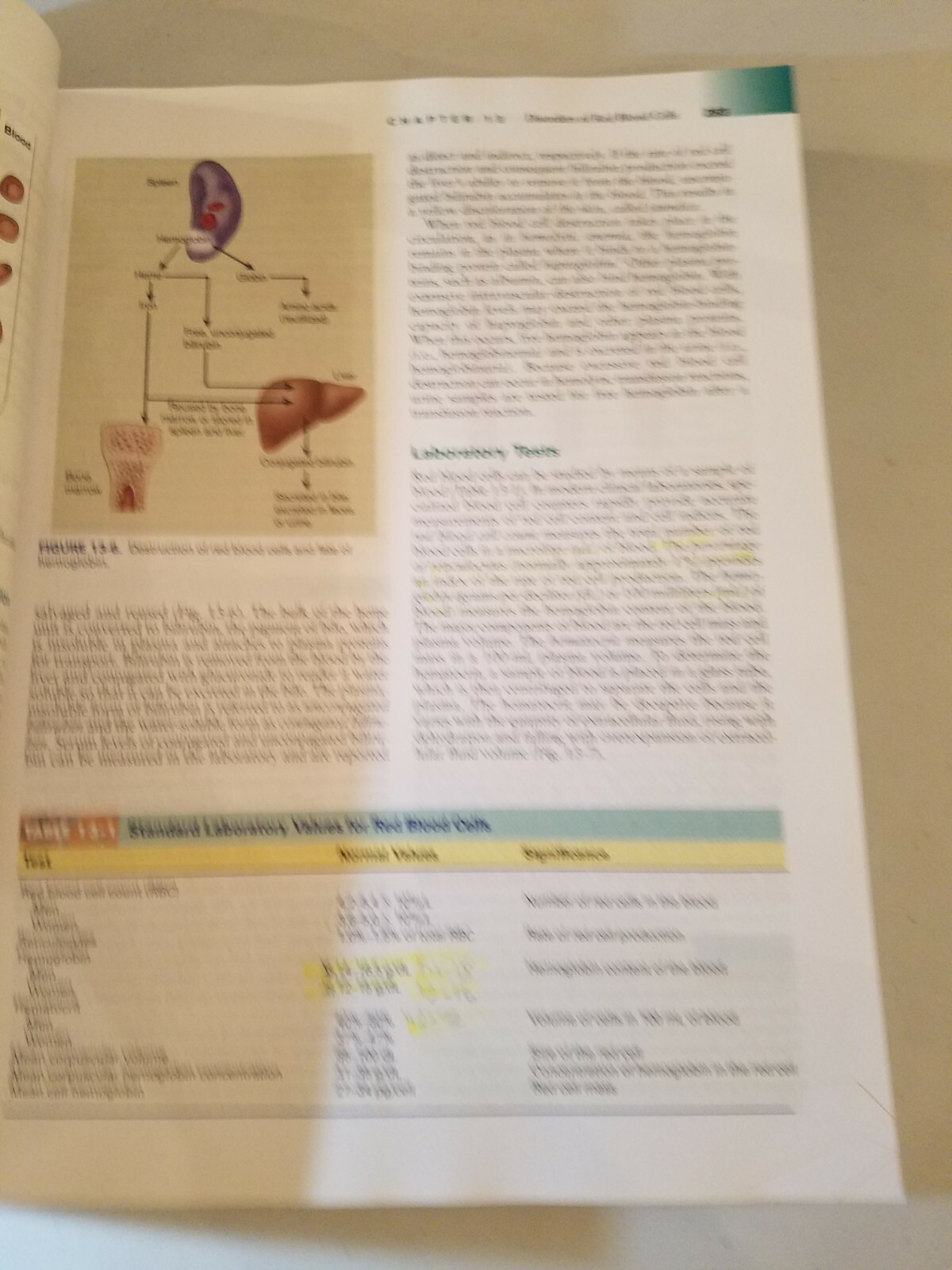 Picture 5 of 5