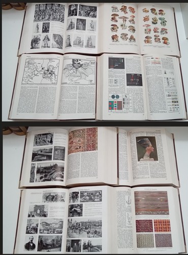 Braune (Nazi-) Meyers Lexikon 8. Auflage 1936-42 +Atlas 10 Bd. Neuwertig TOP - Bild 11 von 18
