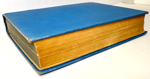 Nobody's Boy, Hector Malot, 1916 Cupples & Leon Hardcover in blue - Picture 5 of 12