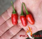 Imagen 3 de 7