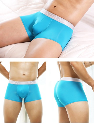 Mens Ice Silk Panties U Pouch Breathable Boxer Briefs Sexy Thin Men's Underwear - Picture 17 of 22