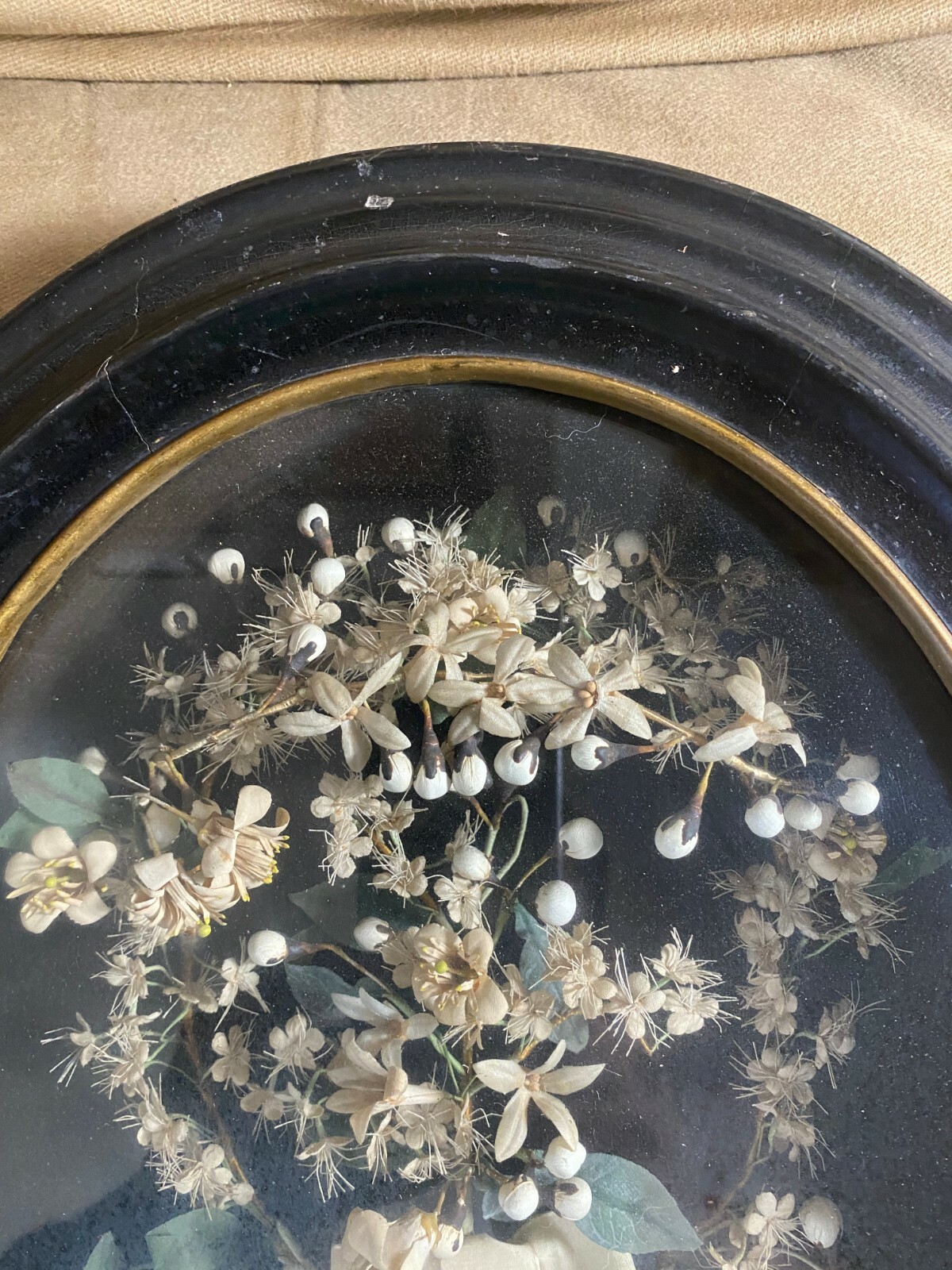 Picture 2 of 12