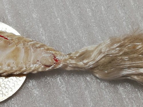 Pennant USSR Kyiv From Soviet Athletes with Badges and Autographs - Picture 13 of 21